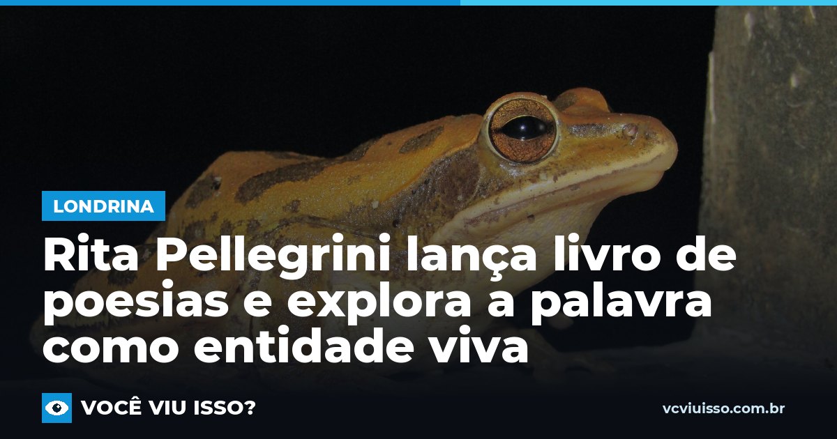 Rita Pellegrini lança livro de poesias e explora a palavra como entidade viva