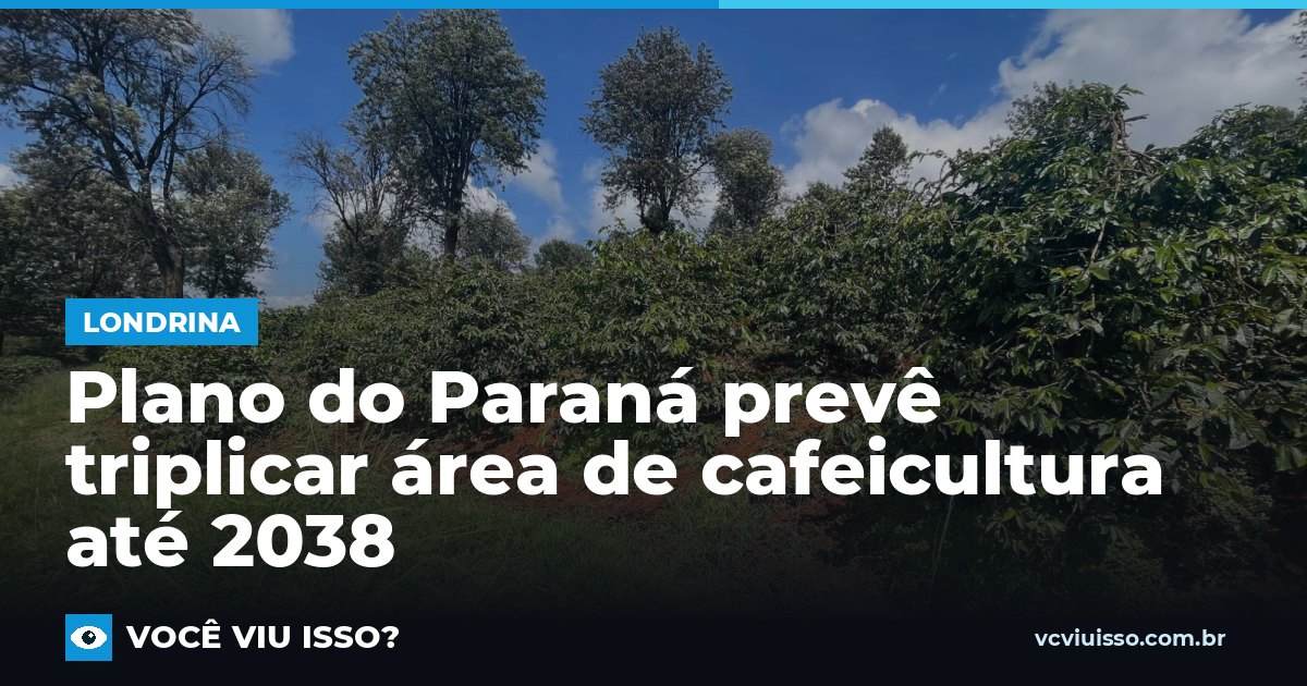Plano do Paraná prevê triplicar área de cafeicultura até 2038