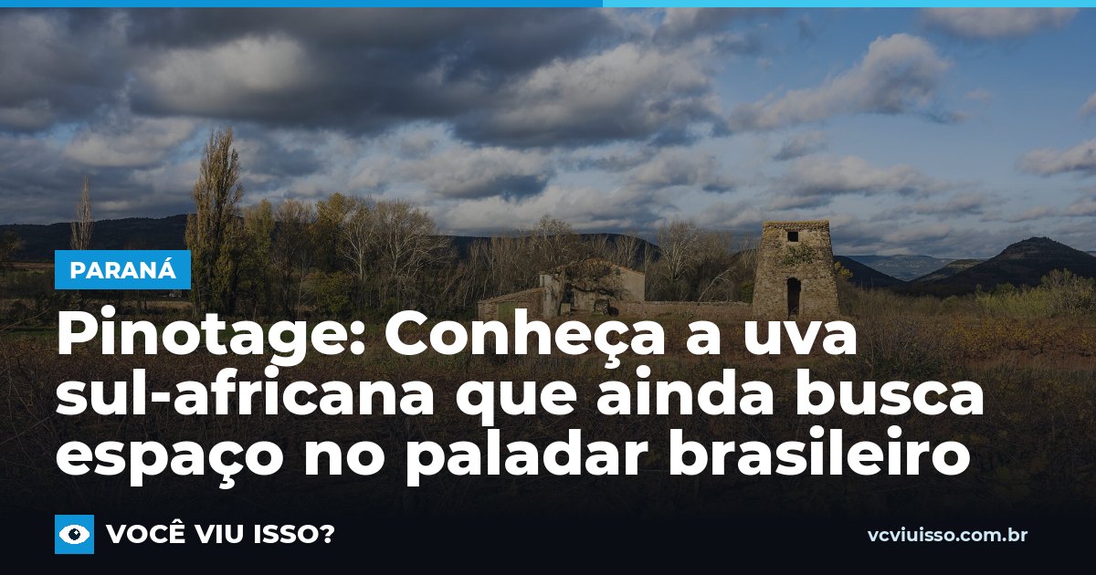 Pinotage: Conheça a uva sul-africana que ainda busca espaço no paladar brasileiro
