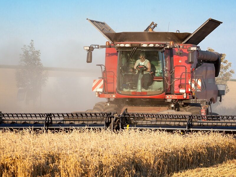 Brasil celebra Dia do Engenheiro Agrônomo com 94 mil profissionais ativos