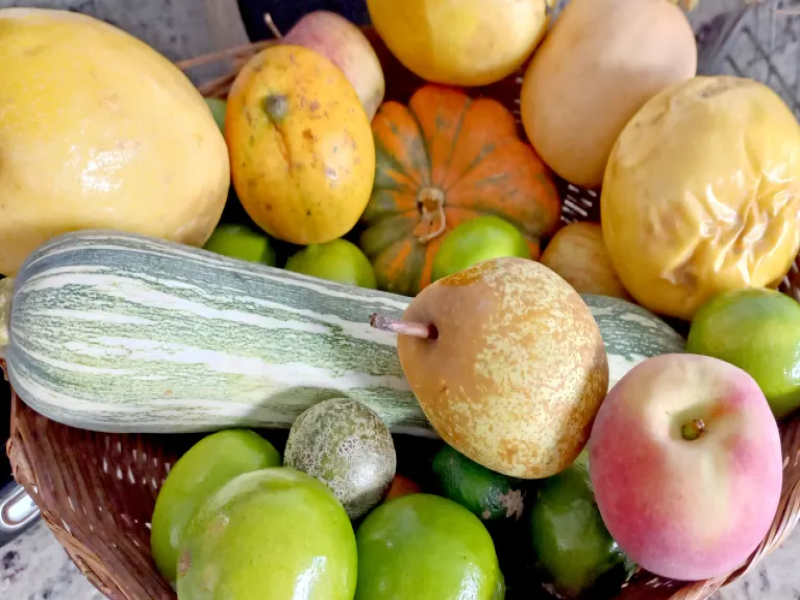 Dia Mundial da Alimentação destaca desafios da fome global