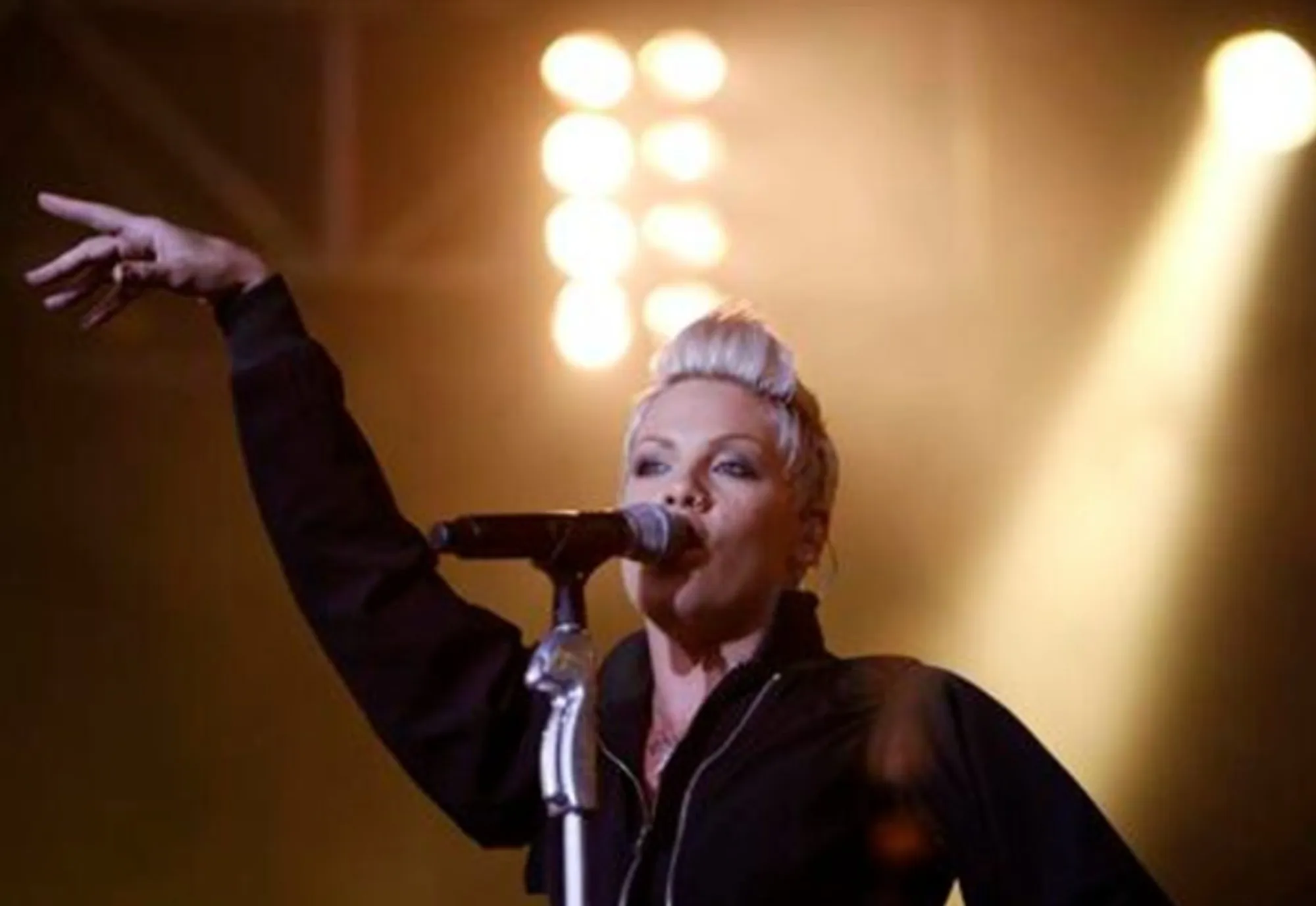 Pink recebe críticas por repostar conteúdo contra Macklemore e protesto pró-Palestina