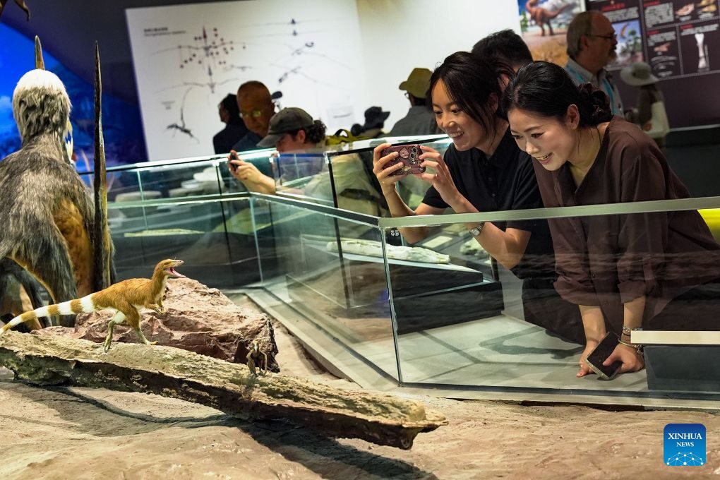 Primeiro museu do mundo dedicado a pterossauros é inaugurado na China