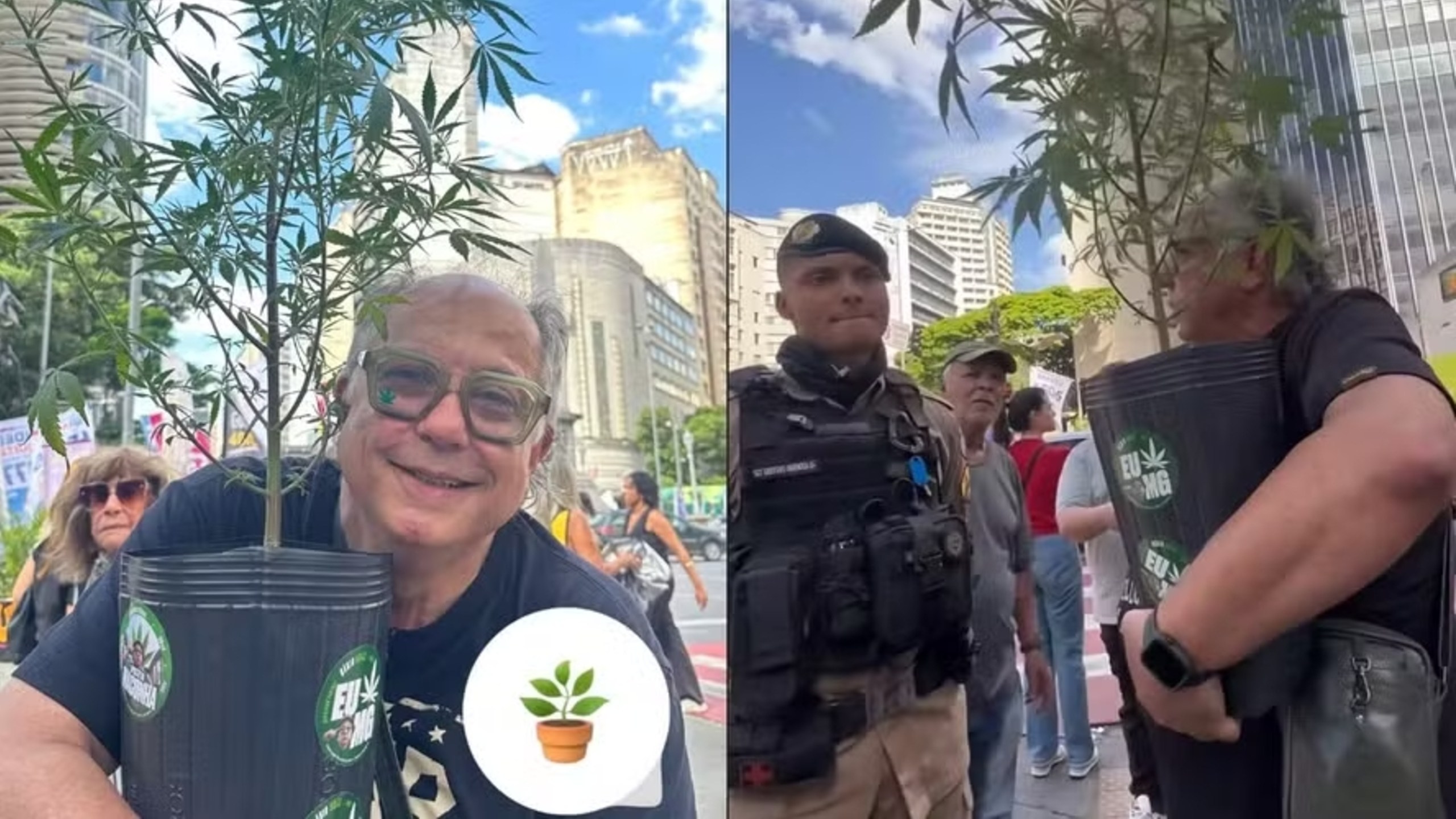 Planta de maconha é apreendida pela PM em ato de campanha em Belo Horizonte